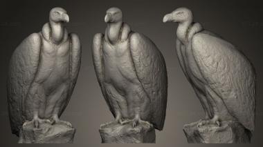 Bird figurines Eagle sleeping 3d model
